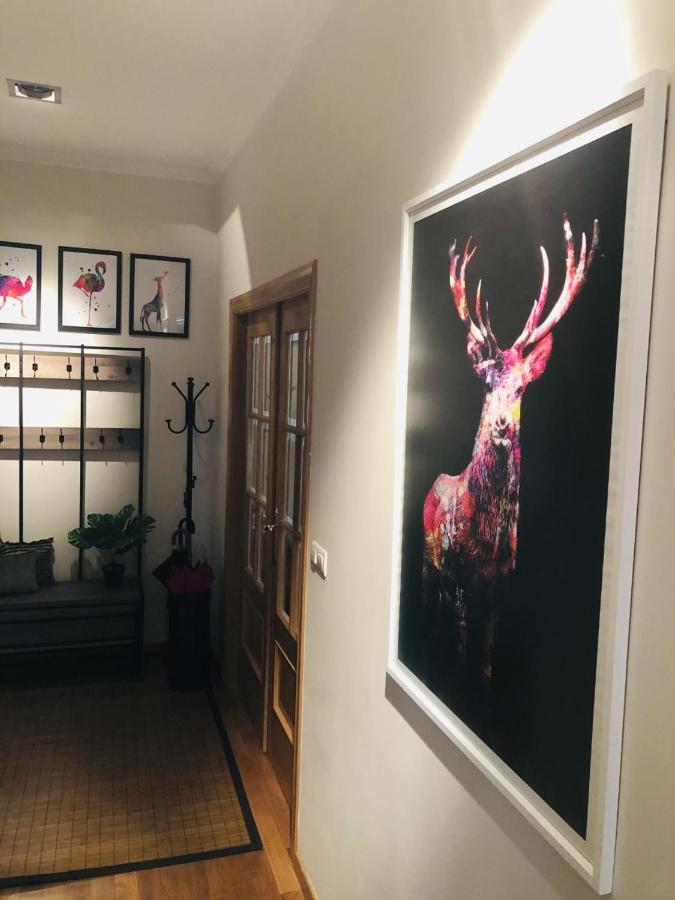 Apartamento Anova Padrón Dış mekan fotoğraf